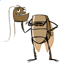 Cucaracha sin cabeza