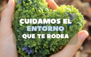 plan de control de plagas en empresas